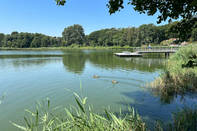Ruhe und Entspannung beim Blick über den Kölpinsee