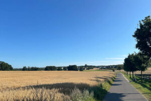 Impression des Fahrradweges auf dem Weg von Ückeritz nach Stagniess