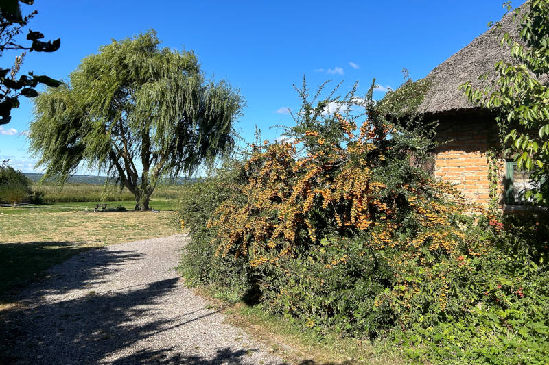 Ausblick vorbei am reetgedecktem Fischerhaus auf das Achterwasser