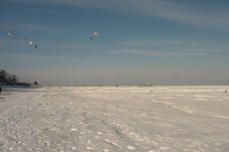 Zugefrorene Ostsee vor der Seebrücke Koserow
