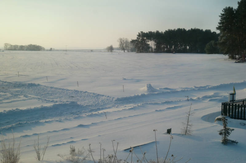 Winterliche Landschaft der Wiesen am Tannengrund in Loddin