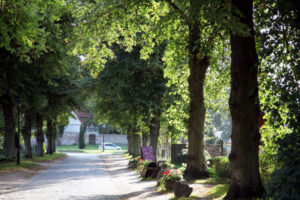 Allee zum Wasserschloss Mellenthin