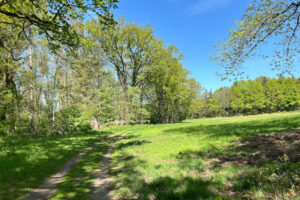 Wanderung durchs Mellenthiner Os