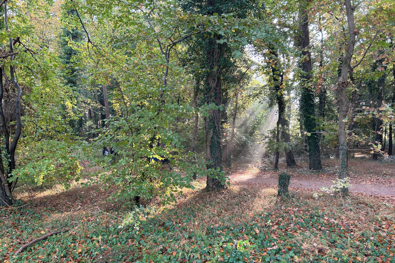 Herbsturlaub auf Usedom